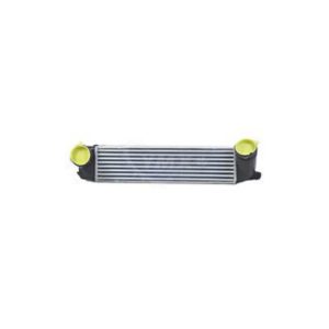 اینتر کولر بی ام و 528 -BMW 17117618768-F10