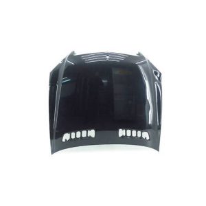 در کاپوت مرسدس بنز S500 اتاق w223
