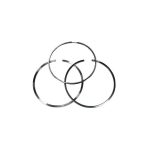 رینگ پیستون تویوتا آریون