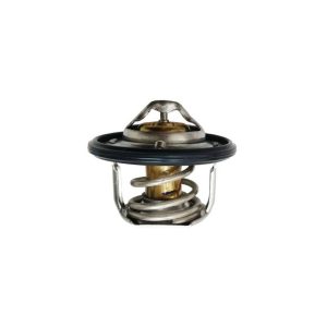 ترموستات اس دبلیو ام SWM G01F