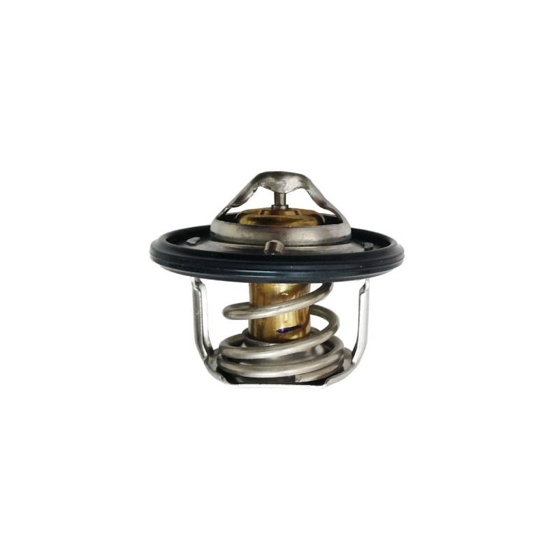 ترموستات اس دبلیو ام SWM G01F ترموستات اس دبلیو ام SWM G01F