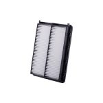 فیلتر کابین رودیوس